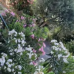 Les Ecrins דירה *
