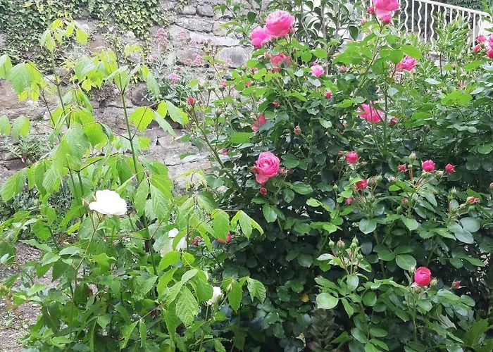 Les Ecrins * Les Mages