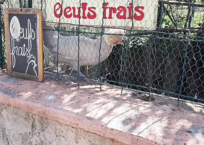 Appartement Les Ecrins