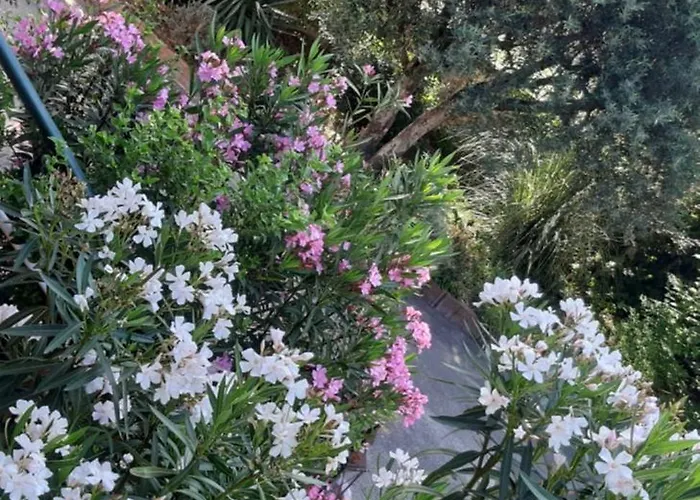 Les Ecrins Appartement *