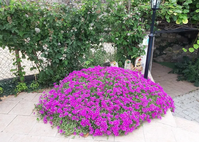 Les Ecrins Les Mages